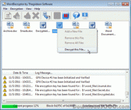 WordDecryptor screenshot